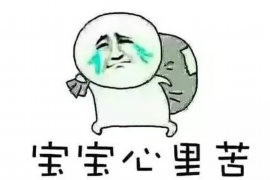 和县债务清欠服务